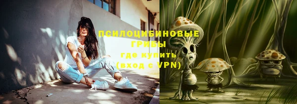 индика Алексин