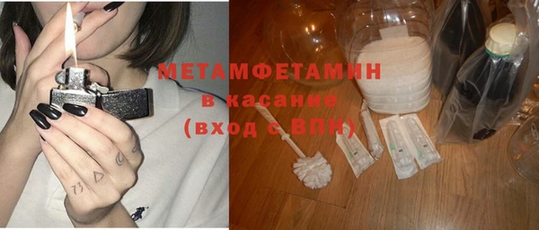 индика Алексин
