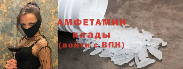 индика Алексин