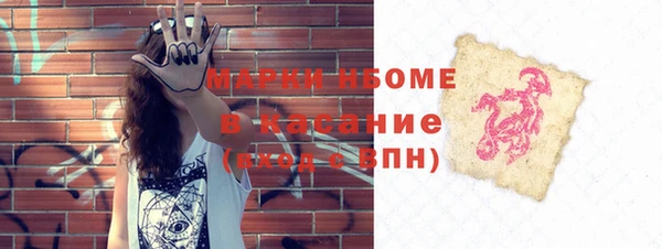 индика Алексин