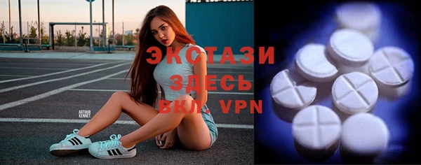 индика Алексин