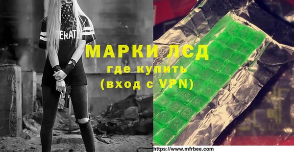 индика Алексин