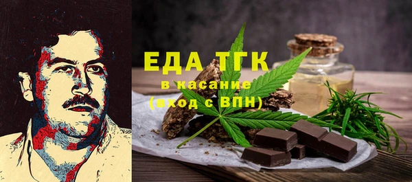 индика Алексин