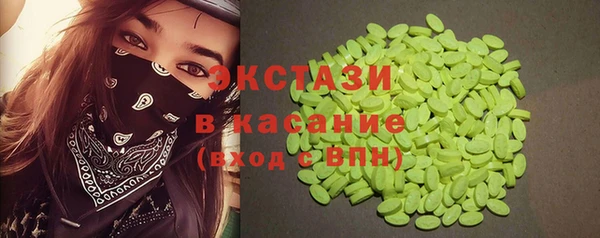 индика Алексин