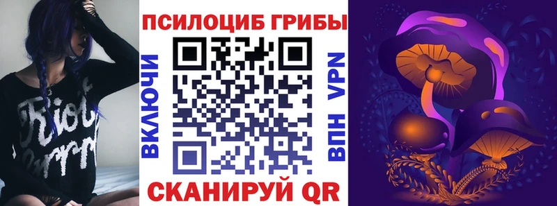 что такое   Алексеевка  Псилоцибиновые грибы GOLDEN TEACHER 